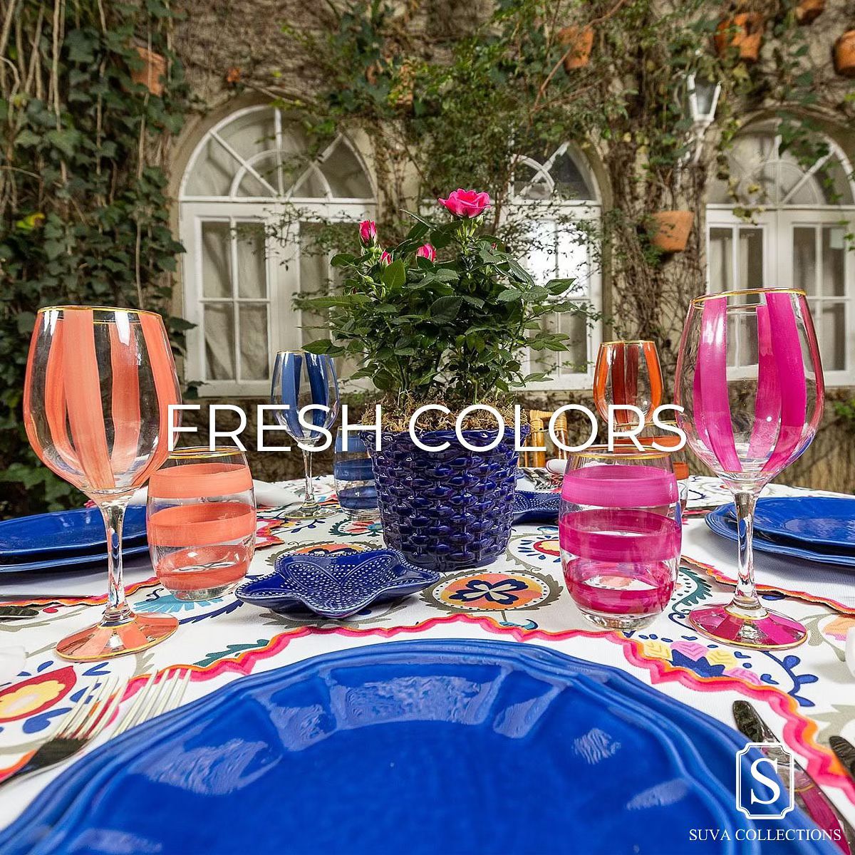 Linha Fresh Colors